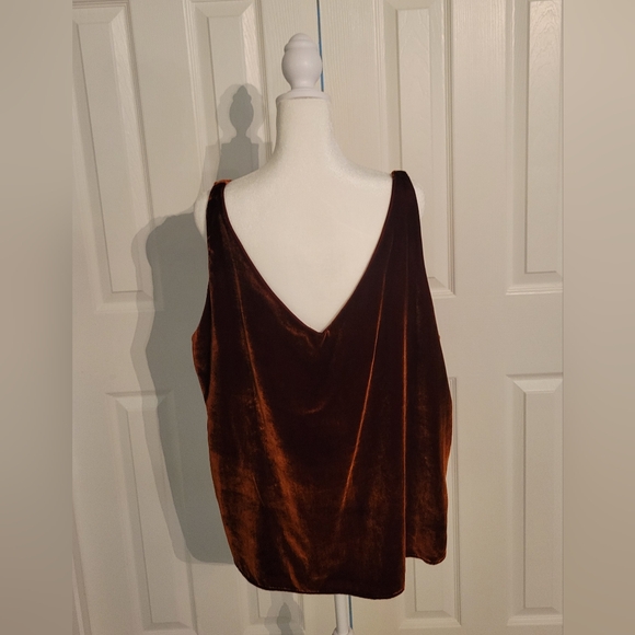 Ann Taylor Loft Russet Velvet Tank XL - Picture 2 of 4